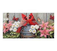 Bimkole 5D Forme Speciali Grande Diamond Painting Kit Completo Fai da Te Uccello Rosso, Fiore Pittura Diamante Punto Croce Strass Arte E Creazione Di Mosaico Decorazione Murale Artigianale 30x60 cm