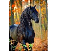 Bimkole Kit per Diamond Painting con Immagini di Cavalli, 5D Fai da Te Kit per Pittura con Diamanti Animali Kit di Dipinti Completamente Rotondi con Numeri per Dipingere Ricamo a Punto Croce