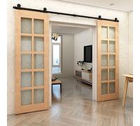 Binario per Porta Scorrevole Doppia 214cm Kit Porta Scorrevole Nera per 2 Porte Scorrevoli Interno Esterno Muro 53cm Larga, Piccola Ruota T-forma