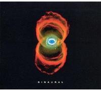 Binaural by Pearl Jam (2000-06-21)