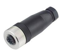 binder 99-0536-14-05 Connettore non confezionato per sensore o attuatore M12