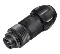 binder 99 4221 300 04 Mini connettore circolare Spina dritta Tot poli: 3 + PE