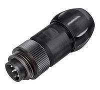 binder 99 4221 300 04 Mini connettore circolare Spina dritta Tot poli: 3 + PE