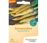 Bingenheimer Saatgut Carote Tardive "Gelbe Gochsheimer" - 1 conf.