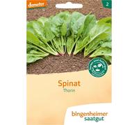 Bingenheimer Saatgut Spinaci "Thorin" - 1 conf.