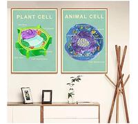 BINGJIACAI Biologia delle Cellule Animali e vegetali Poster Print Science Educational Wall Art Canvas Painting Pictures Laboratorio Office Decor-40x60cmx2 Senza Cornice