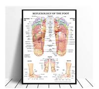 BINGJIACAI Riflessologia Plantare Schema dei Punti di agopuntura Anatomia Poster Wall Art Picture Canvas Painting Print Office Home Decor-50x70cm Senza Cornice
