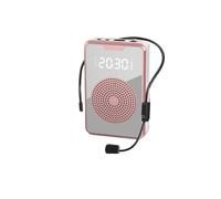 BINGNU Amplificatore vocale, Microfono Portatile Senza Fili Amplificatore Vocale Megafono Didattico Altoparlante Piccola Ape for Guida Turistica All'aperto for Insegnanti(Gold Wireless)
