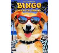 Bingo - Senti Chi Abbaia DVD