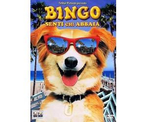 Bingo - Senti Chi Abbaia DVD