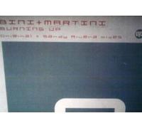 Bini + Martini - Burning Up - Vinile (12" - 45 rpm)