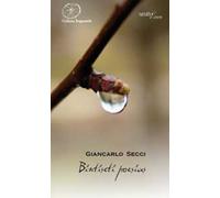 Bintiseti poesias