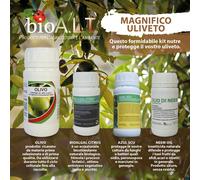bio A.L.T Magnifico Uliveto, Questo formidabile Kit nutre e Protegge Il Vostro
