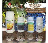 bio A.L.T Magnifico vigneto, Questo formidabile Kit nutre e Protegge iIl Vostro