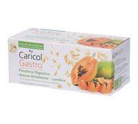 Bio Caricol Gastro Bustine 377 ml Soluzione orale