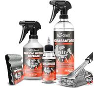 bio-Chem - Profi Set 5 Prodotti per la Pulizia di Barbecue e forni - Smacchiatore per resine e bruciature - Detergente per superfici di Barbecue, forni e Griglie - Olio per la Cura, Spazzola e Spugna