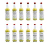 Bio di zenzero Concentrato - Un tessuto misto base Concentrato in controllati angebautem peruanischen Bio di zenzero - Senza additivi, senza zucchero
