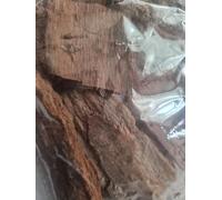 Bio Ficus Platyphylla Corteccia, Igi NLA Ebe Rimedio Tradizionale, 100g