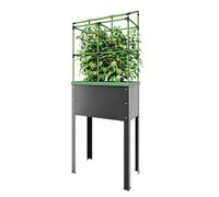 Bio Green JGL-HDB-L City Jungle Heidelberg - Vaso elevato, autoirrigante