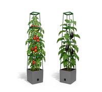 Bio Green Raised Garden Bed Tomato Planter Boxes with Trellis, Self-Watering Planter Box MAXITOM, 4.2 gal, 9.8 x 60 in, for Tomatoes, Vines, Vegetables, Indoor/Outdoor Use, 2 Pc, Anthracite/Gray