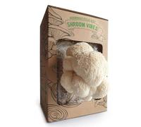 BIO - Set per la coltivazione di funghi | Funghi grifone (Hericium erinaceus) facile da coltivare | Kit per la coltivazione di funghi per la casa | Set completo per la coltivazione di funghi di