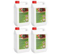 Bio Sprint BIOETANOLO 20L COMBUSTIBILE LIQUIDO ECO per CAMINO STUFA BIOCAMINO