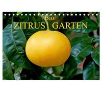 Bio Zitrus Garten (Tischkalender 2026 DIN A5 quer), CALVENDO Monatskalender: Ein fotografischer Streifzug durch den exotischen Citrus Garten CERON