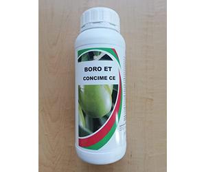 BIOALT FITOFORTE Concime a Base di Boro ET 1 LT