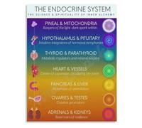 Biochemical and Spiritual Poster The Endocrine System in Inner Alchemy Thought Reference Meditation Art(Unframed,12x18inch(30x45cm))