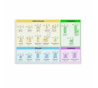 Biochemistry Cheat Sheet, Genetic Code and Amino Acids Reference, Quick Study Wall Art for Med Student, MCAT Prep, Home School, Science Lover(Unframed,12x18inch(30x45cm))