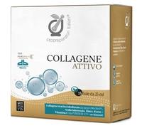 BioDue FITOPREPARATORI ITALIANI COLLAGENE 15 FIALE DA 25 ML