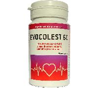 Evocolest 60 Compresse