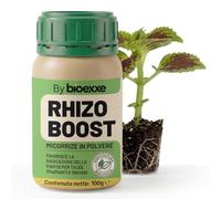 BIOEXXE Radicante Per Talee - Micorrize Trichoderma Ormone Radicante In Polvere Per Piante E Orchidee Per Talee In Acqua E Trapianti Con Ormoni Radicanti Naturali 100 gr - Made in Italy