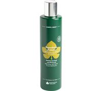 Biofficina Toscana Bagno Doccia all'Elicriso - 250 ml