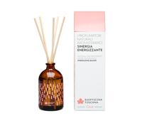 Biofficina Toscana Profumatore per Ambienti con Bastoncini Sinergia Energizzante, 100 ml - Profumo per Ambiente Naturale aromaterapico - con Oli Essenziali di Limone, Arancio, Menta e rosmarino