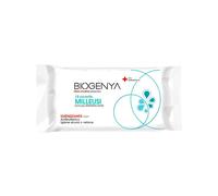 Biogenya 12 Salviette Milleusi Igienizzanti