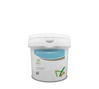 Bioges Solfato Ammonico da 6 kg -Azione acidificante, Ideale per Piante da frutto, acidofile e tappeti erbosi