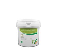 Bioges Solfato di Magnesio 5 kg Ideale per Tutte Le Piante