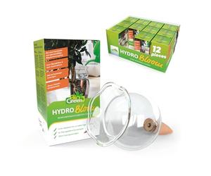 BioGreen Self Watering Globes for Plants Hydro Bloom, 12pcs Automatic Plant Watering Bulbs for Indoor and Outdoor Potted Plants, UV-Resistant Water Conservation Device