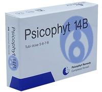 Biogroup PSICOPHYT REMEDY 14B 4 TUBI 1,2 G