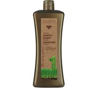 Biokera Salerm Shampoo Argan 1000 ml ⭐⭐⭐⭐⭐⭐