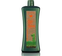 SALERM - Shampoo Capelli Tinti - Shampoo Capelli Trattati Biokera Natura - 1000 ml - Protegge il Colore e la Fibra Capillare - con Olio di Macadamia ed Estratto di Bacche Rosse - Plus Nutrizione