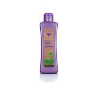 Biokera Salerm Shampoo Grapeology 1000ml