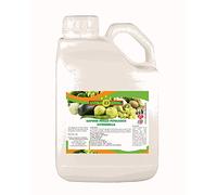 Bioki Sapone Molle, Multicolore