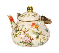 Biolino con tè a smalto per bevande multiuso bollitore per tè per la casa