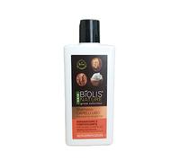 Biolis Nature Shampoo Riparatore e Fortificante per Capelli Lisci con Burro di Karitè Bio, 250 ml