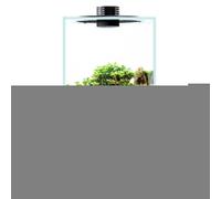 Bioloark Bio Bottle FD200 Terrario LED ventilato 22x22x41cm