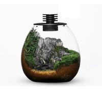 Bioloark Bio Bottle PD170 Terrario LED Vetro a Bolla cm17,5x19,5h
