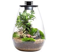 Bioloark Bio Bottle SD175 Terrario Goccia LED Vetro cm17,5x23h