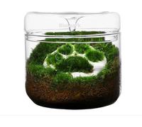 Bioloark Luji Glass Cup MY-150 Terrario in Vetro con Coperchio